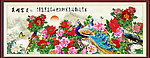 国画牡丹 孔雀