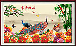 花开富贵
