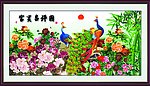 孔雀