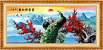 梅花 孔雀