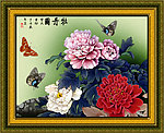 富贵牡丹花