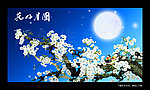 无框花