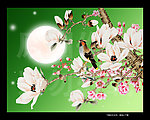 无框画玉兰花