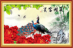 孔雀图