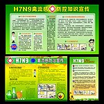 H7N9禽流感图片