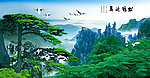 黄山迎客松