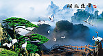 黄山迎客松