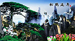黄山迎客松