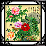 富贵牡丹