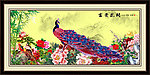 富贵花开