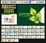 模板 PPT