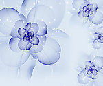 透明花