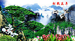 黄山迎客松