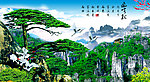 黄山迎客松