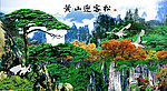 黄山迎客松