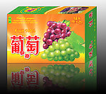 天地盖葡萄箱 平面图