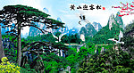 黄山迎客松