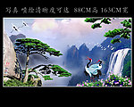 黄山迎客松
