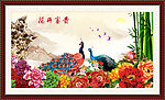 花鸟画