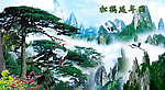 黄山迎客松