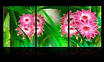 唯美鲜花无框画
