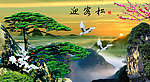 黄山迎客松