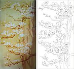 玉兰花 金玉兰