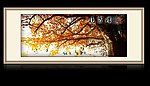 黄昏晚霞归飞鸟图