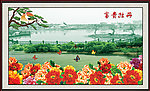 牡丹