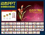 PPT模板