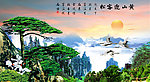 黄山迎客松