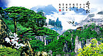 黄山迎客松