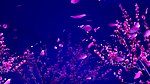 晚会唯美春江花月夜桃花中秋明月视频