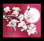 玉兰花