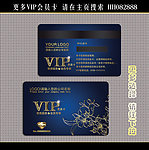 会员卡 VIP贵宾卡