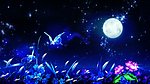 唯美蝴蝶月色鲜花视频