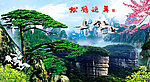 黄山迎客松