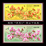 玉兰花