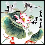 荷花
