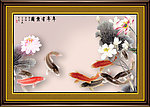 国画 荷花