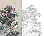 牡丹