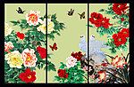 牡丹花