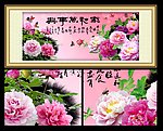 花开富贵牡丹图