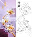 兰香 玉兰花