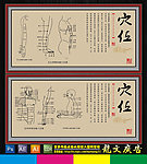 穴位