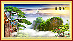 黄山迎客松