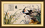 兰花