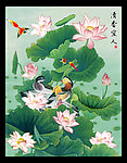 荷花