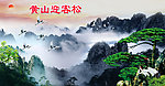 黄山迎客松