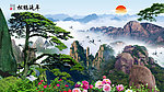 黄山迎客松
